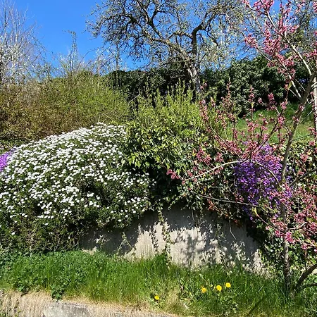 Διαμέρισμα Au Calme *