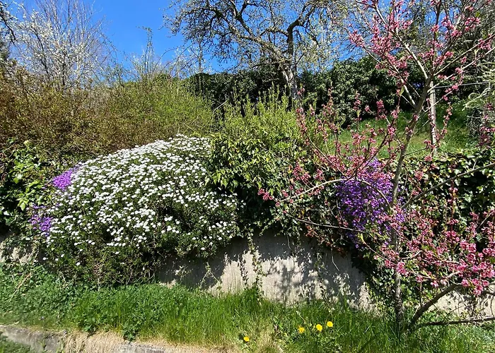 Apartmán Au Calme *